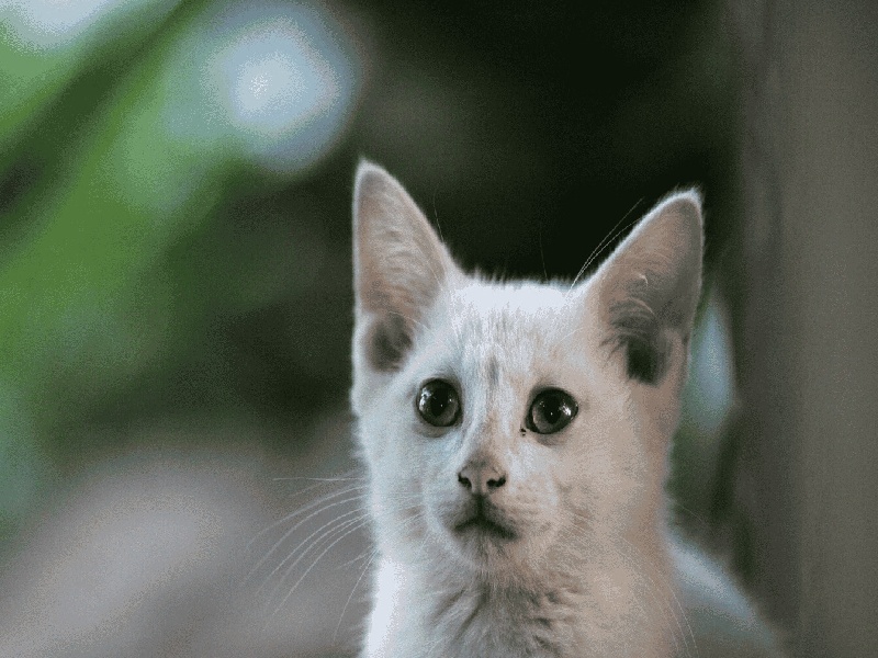 南方医院试管婴儿费用,试管属于什么科